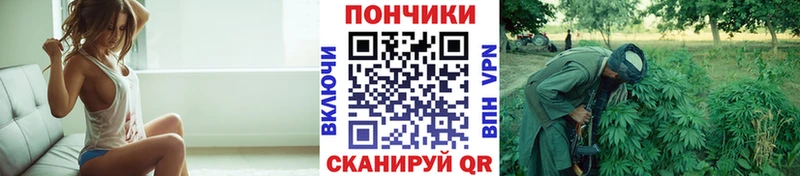 где найти Пудож Бошки марихуана Amnesia
